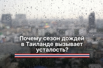 Почему в сезон дождей в Таиланде постоянно нет сил: дело не только в сером небе